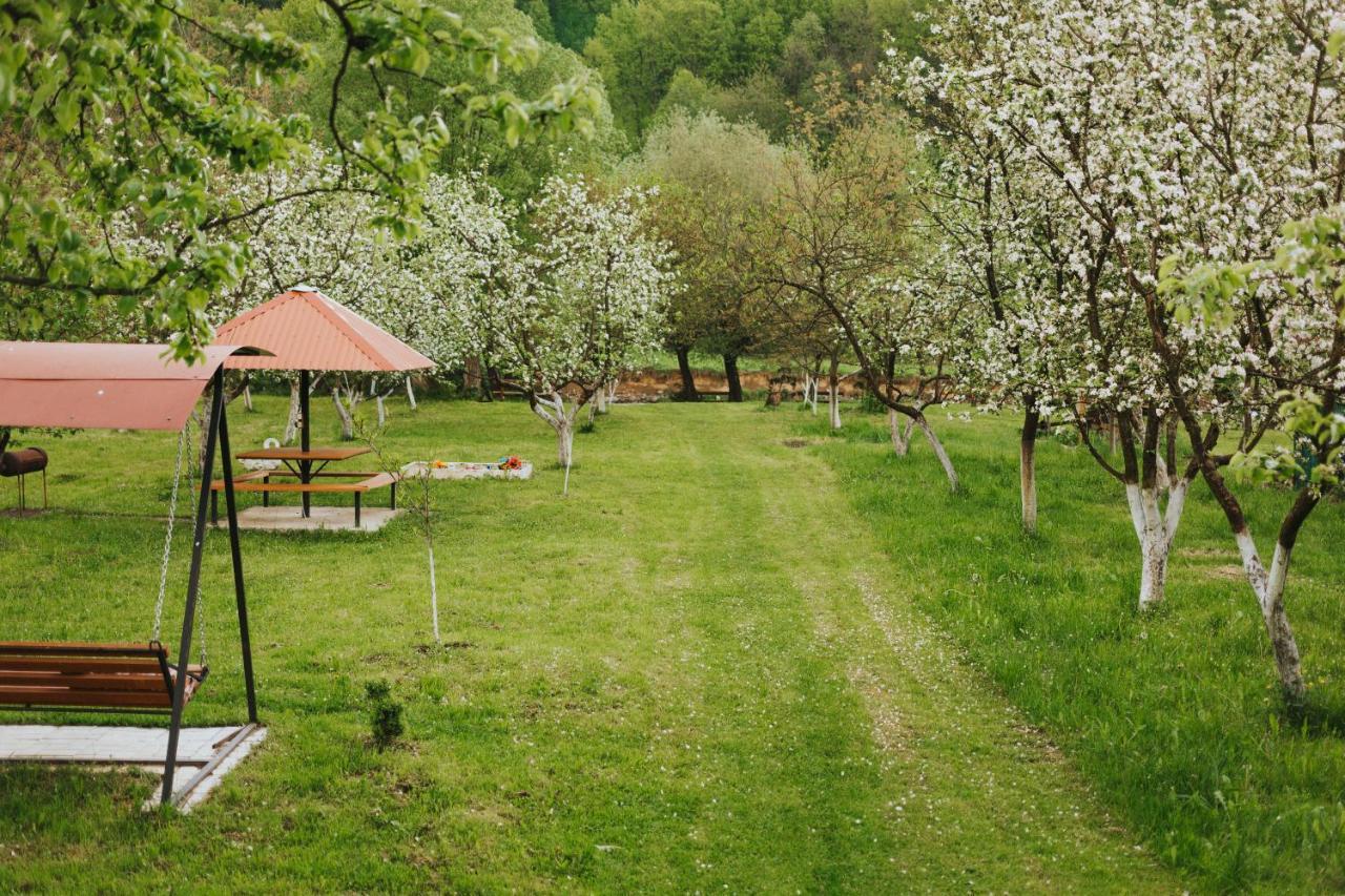 У Оксани Hotel Királyfiszállás Kültér fotó
